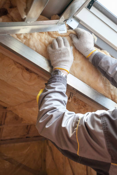 Best Professional Insulation Contractor  in Lake Bryan, TX