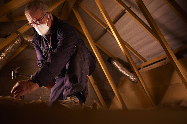 Best Insulation Replacement Services  in Lake Bryan, TX